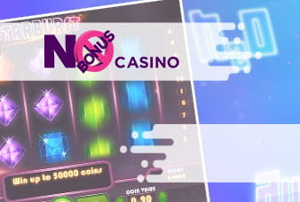 No Bonus Casino App